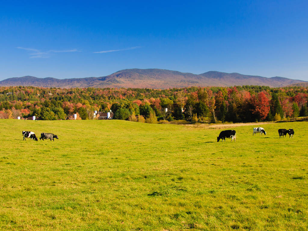 Stowe, VT